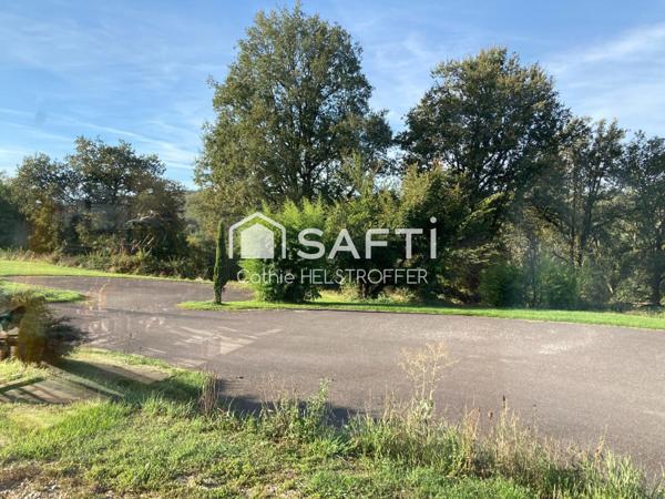 Coup de coeur assuré