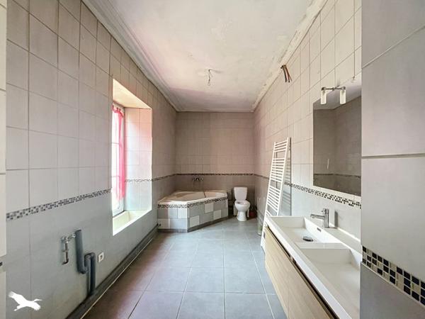 Immeuble 161 250 € Sainte-Sévère-sur-Indre 377 m² DPE E