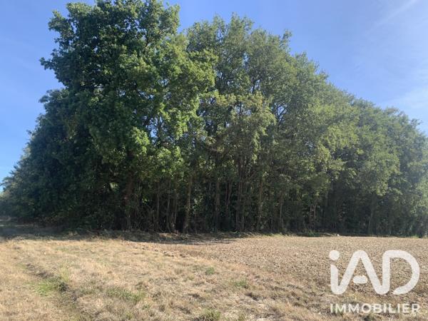 Terrain à vendre 33 331 m² Levroux