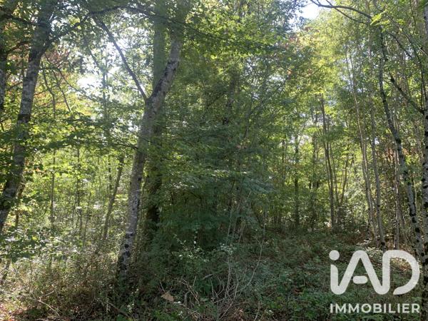 Terrain à vendre 33 331 m² Levroux