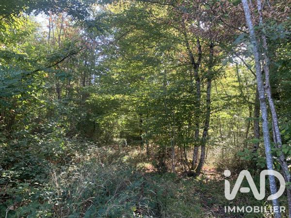Terrain à vendre 33 331 m² Levroux