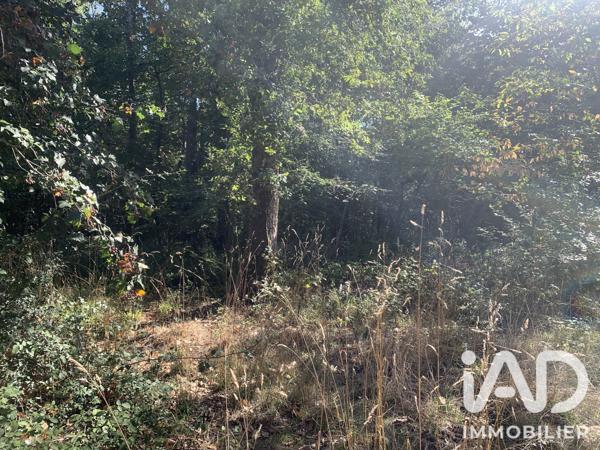 Terrain à vendre 33 331 m² Levroux