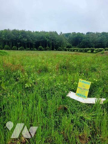 Situé à proximité des commodités, avec un bel environnement, terrain à bâtir d'une surface de 2...