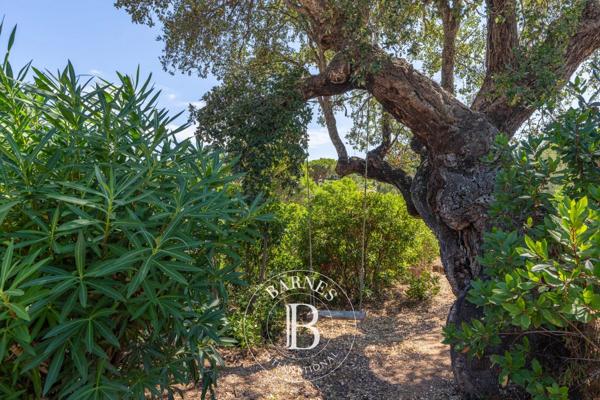 Sainte-Lucie-de-Porto-Vecchio, Villa 5 Chambres -  150 m² à vendre