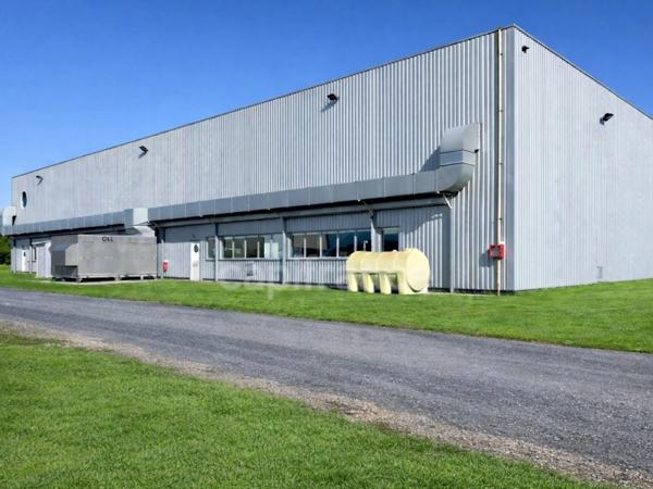 Site industriel et logistique de 6 650 m² sur 5,1 ha - Accès N10 - Chevanceaux (17)