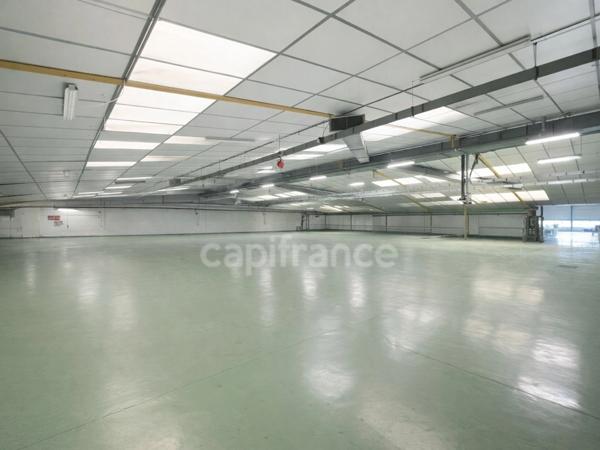 Site industriel et logistique de 6 650 m² sur 5,1 ha - Accès N10 - Chevanceaux (17)