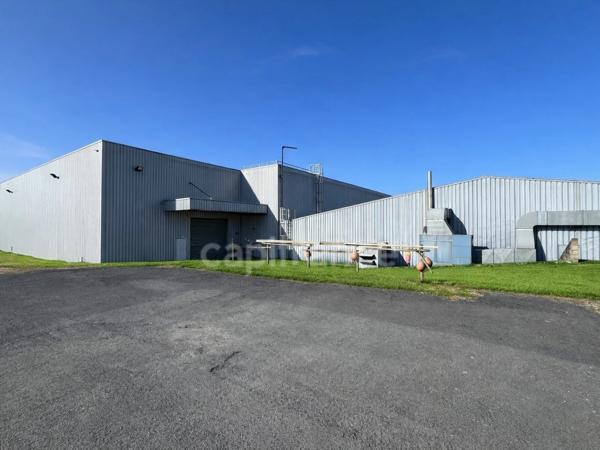 Site industriel et logistique de 6 650 m² sur 5,1 ha - Accès N10 - Chevanceaux (17)