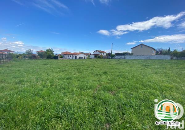 Terrain à vendre 223 m² Montbrison