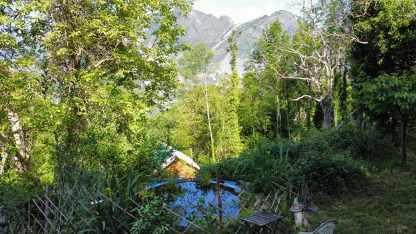 Propriété agricole, chalet bois et grange à rénover sur un hectare de terrain