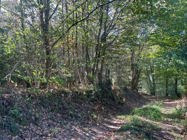 Achat - Terrain de loisirs, bois, étangs | Bois Hambers 53160 5520 m 2