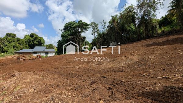 Terrain plat au Lamentin dans un quartier calme