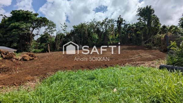 Terrain plat au Lamentin dans un quartier calme