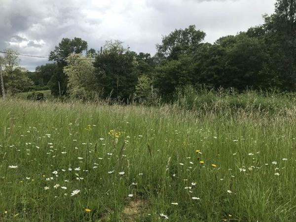 Terrain à vendre |  Orbessan |  3499 m²
