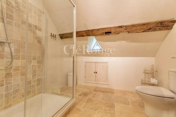 Près de Bergerac - Magnifique château de 5/6 chambres, sur un terrain de 1,6 hectare