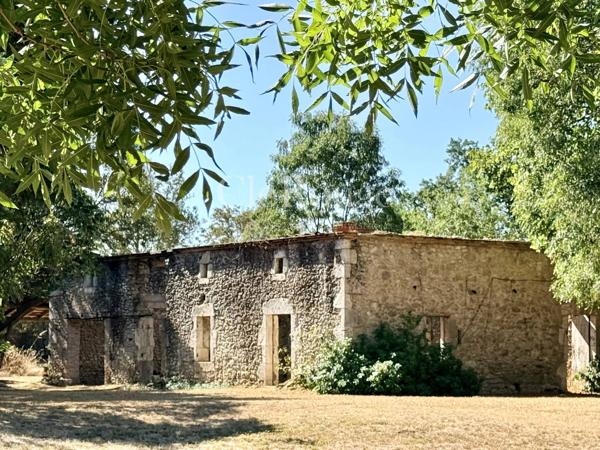 Près de Bergerac - Magnifique château de 5/6 chambres, sur un terrain de 1,6 hectare