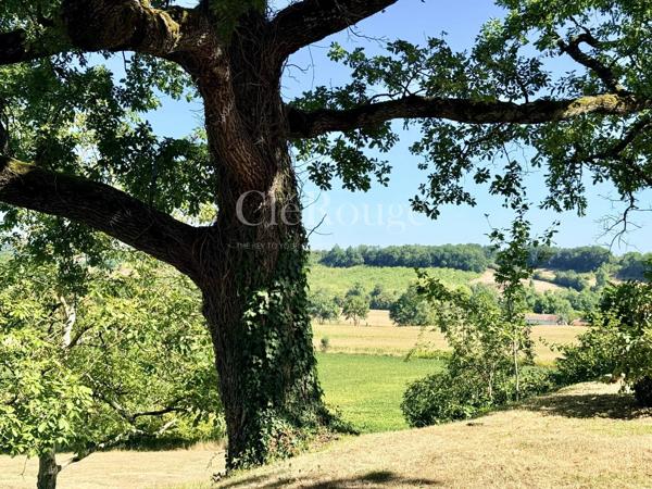 Près de Bergerac - Magnifique château de 5/6 chambres, sur un terrain de 1,6 hectare