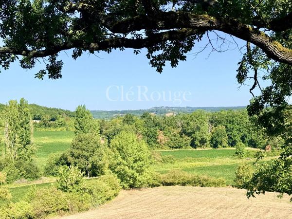 Près de Bergerac - Magnifique château de 5/6 chambres, sur un terrain de 1,6 hectare