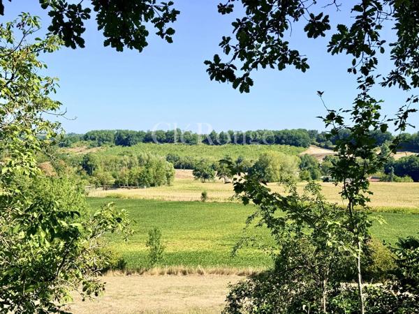 Près de Bergerac - Magnifique château de 5/6 chambres, sur un terrain de 1,6 hectare