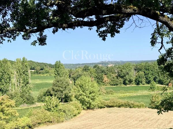 Près de Bergerac - Magnifique château de 5/6 chambres, sur un terrain de 1,6 hectare
