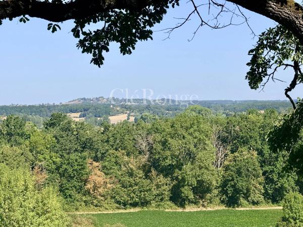 Près de Bergerac - Magnifique château de 5/6 chambres, sur un terrain de 1,6 hectare