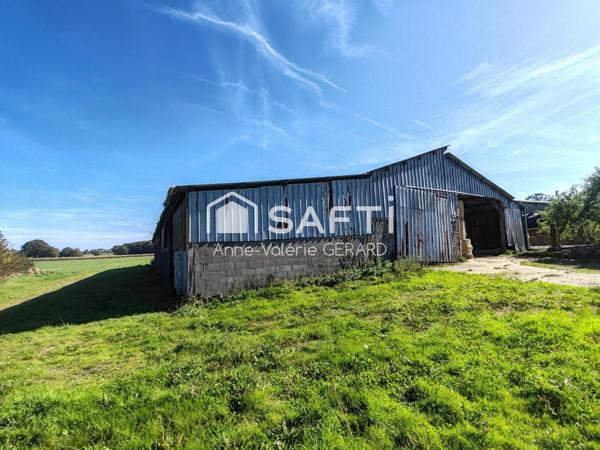 Maison avec possibilité bâtiment+terrain
