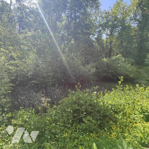 Maison à Vendre à Chaource (10210) en Aube (10), situé dans un lieudit de Chaource dans un cadr...