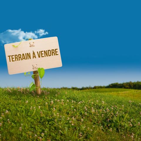 Terrain viabilisé  800m²