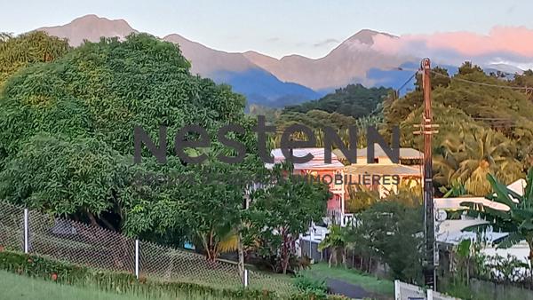 A VENDRE MAISON  + 3 BUNGALOWS  A CAPESTERRE-BELLE-EAU