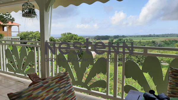 A VENDRE MAISON  + 3 BUNGALOWS  A CAPESTERRE-BELLE-EAU