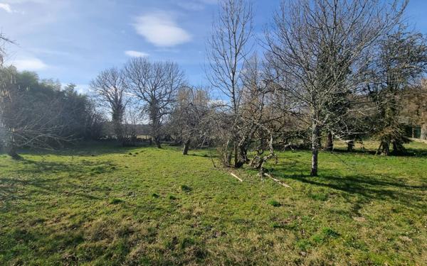 Terrain à vendre    Guéret