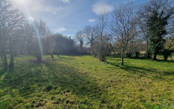 Terrain à vendre    Guéret