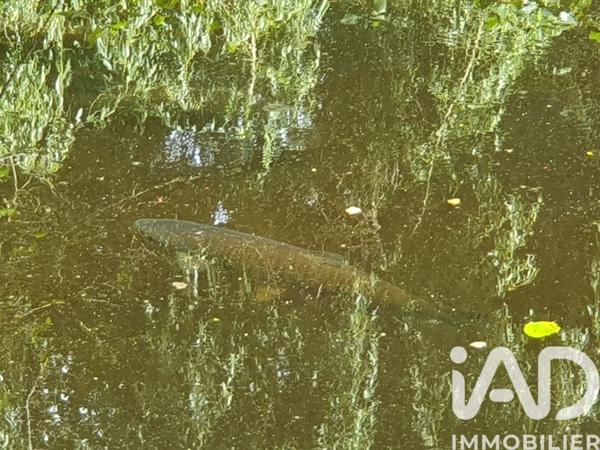 Terrain à vendre 24 284 m² Manre