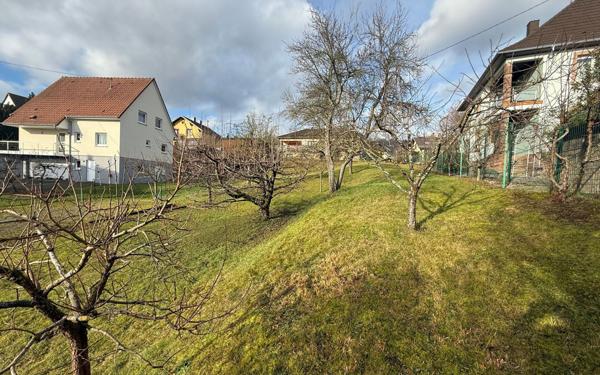 Terrain à vendre    Ottersthal