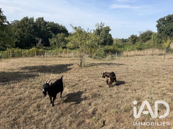 Maison à vendre 13 pièces 307 m² Saint-Michel-de-Montjoie