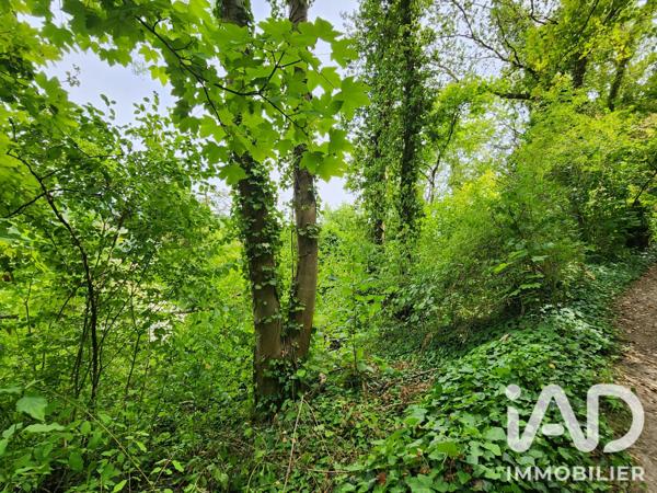 Terrain à vendre 2 550 m² Maule