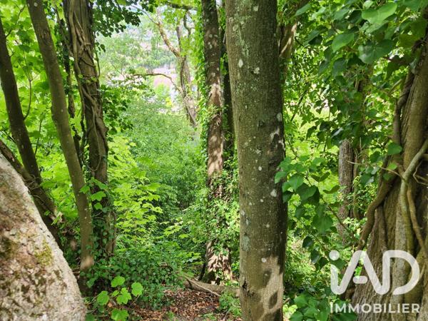 Terrain à vendre 2 550 m² Maule