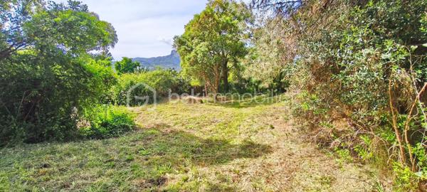 Terrain de 2 862 m²