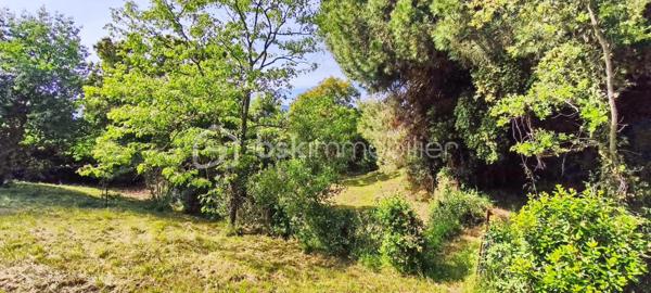 Terrain de 2 862 m²