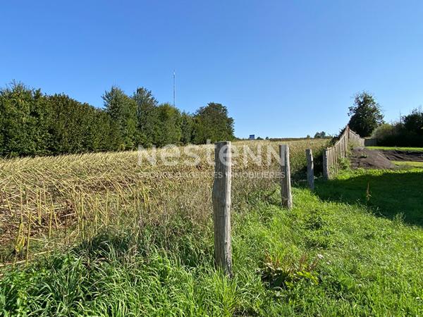 Longère rénovée à vendre - 137m2 - 4 chambres - Campagne de Mayet (72360)