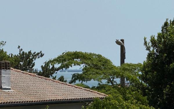 Appartement à vendre    3 pièces •  Vaux-sur-Mer