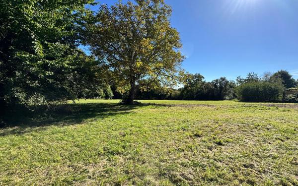 Terrain à vendre    Sidiailles