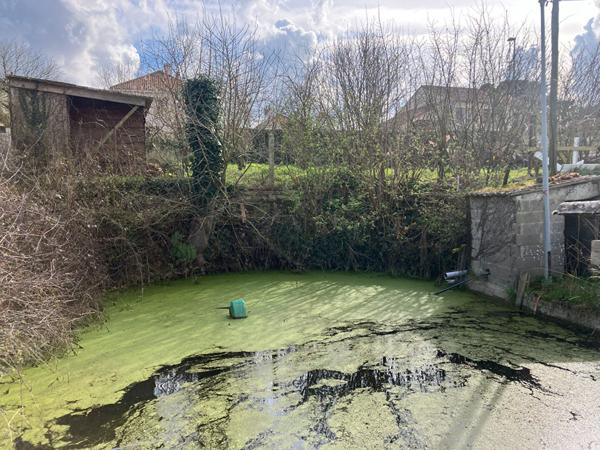 À vendre : Terrain de 436 m² - Libre de constructeur