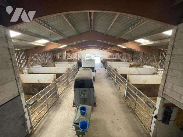 Nouveau " chez des Notaires à Mes côtés" UN CENTRE D'ENTRAINEMENT  POUR  CHEVAUX sur un ensembl...
