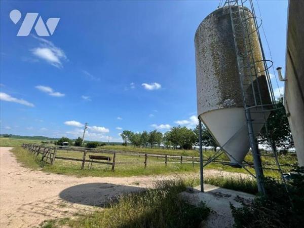 Nouveau " chez des Notaires à Mes côtés" UN CENTRE D'ENTRAINEMENT  POUR  CHEVAUX sur un ensembl...