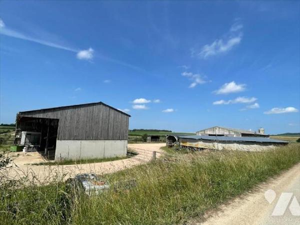 Nouveau " chez des Notaires à Mes côtés" UN CENTRE D'ENTRAINEMENT  POUR  CHEVAUX sur un ensembl...