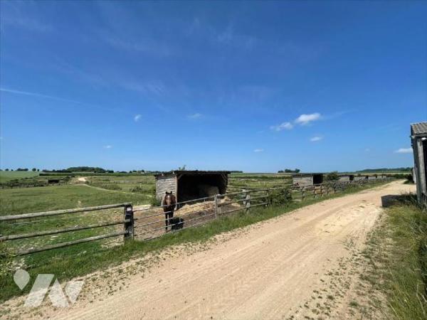 Nouveau " chez des Notaires à Mes côtés" UN CENTRE D'ENTRAINEMENT  POUR  CHEVAUX sur un ensembl...