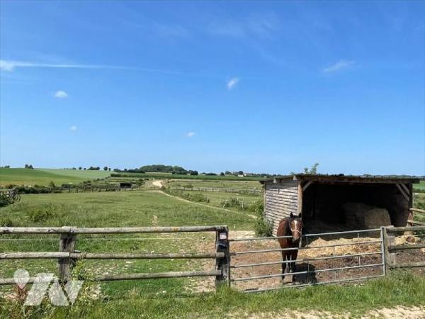 Nouveau " chez des Notaires à Mes côtés" UN CENTRE D'ENTRAINEMENT  POUR  CHEVAUX sur un ensembl...