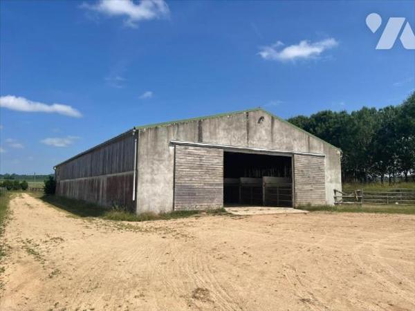 Nouveau " chez des Notaires à Mes côtés" UN CENTRE D'ENTRAINEMENT  POUR  CHEVAUX sur un ensembl...