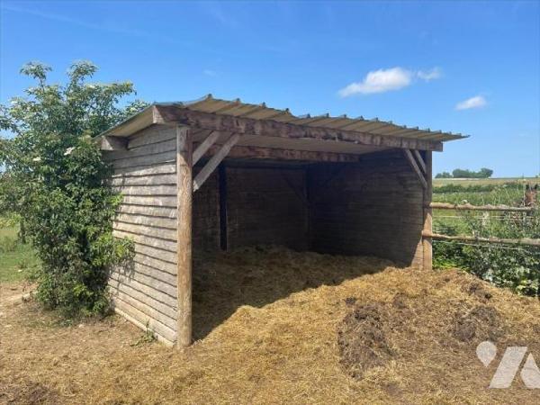 Nouveau " chez des Notaires à Mes côtés" UN CENTRE D'ENTRAINEMENT  POUR  CHEVAUX sur un ensembl...