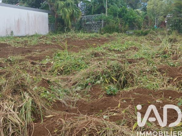 Terrain à vendre 344 m² Saint-Paul